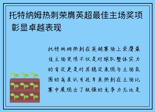 托特纳姆热刺荣膺英超最佳主场奖项 彰显卓越表现